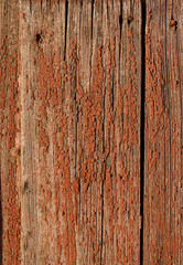 Walnut wood texture. Brown rustic background. Eco