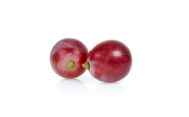 rad grape isolated on white background