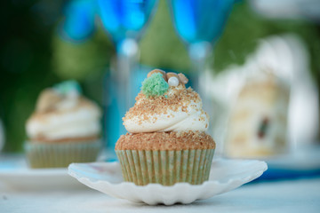 Beautiful cake in a marine style on nature with glasses of Shapman.Cake