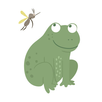Vector cartoon style flat funny frog with mosquito isolated on white background. Cute illustration of woodland swamp animal. Sitting amphibian icon for children’s design..