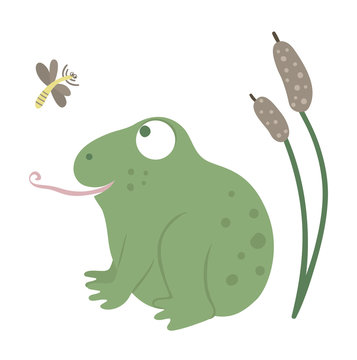 Vector cartoon style flat funny frog with reeds and mosquito isolated on white background. Cute illustration of woodland swamp animal. Sitting amphibian icon for children’s design..