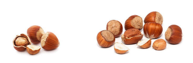 Hazelnuts isolated on white background