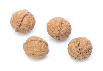 Walnut isolated on white background