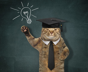 The cat student in a black tie and an academic hat is standing near the school blackboard on which a light bulb is drawn.