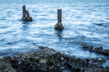 Fototapeta premium water and oysters