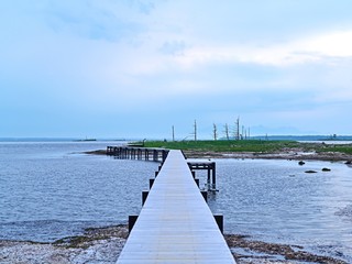 野付半島遊歩道から見たトドワラ情景＠根室、北海道