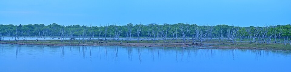 野付半島ナラワラの幻想的な情景＠根室、北海道