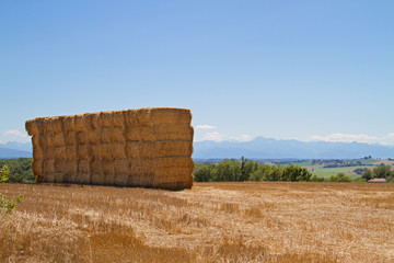 Harvest time: square hay bales of straw in subble field with blue summer sky and mountains, Pyrenees, on the horizon © Matauw