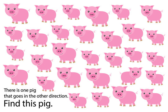 Find pig that goes in other direction, education puzzle game for children, preschool worksheet activity for kids, task for the development of logical thinking and mind, vector illustration