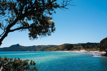 Kuaotunu beach from the north. Turquoise and blue water, rocky, great for snorkelling. Pohutukawa, NZs christmas tree. Summer scene, beautiful day, Coromandel is paradise. Postcard perfect sunny day.