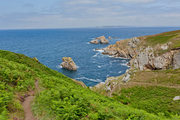 Fototapeta na wymiar a costal path with lush green on the Atlantic coast of Brittany called Pointe du Raz