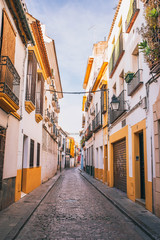 Fototapeta premium Voyages Andalousie espagne Cordoue Grenade