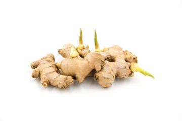 Fresh sprouted ginger isolated on white background