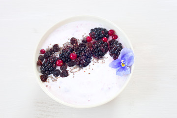 Joghurt mit Brombeeren