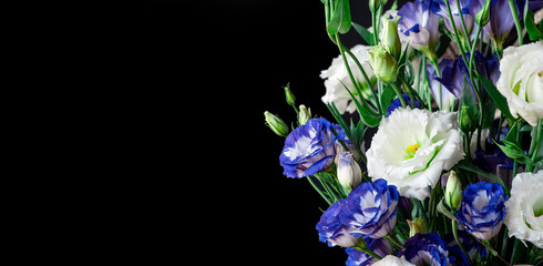 Bouquet of white and blue lisianthus flowers on a black background, copy space.
