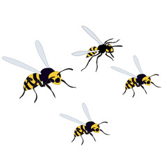 vector, isolated, wasp, bees fly on a white background
