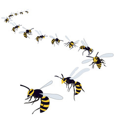 wasp, bees fly on a white background