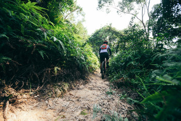 Obraz premium Cross country biking woman cyclist riding mountain bike on tropical rainforest trail