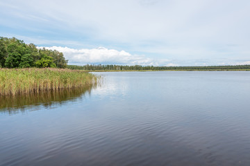 Long Exposure of a Lake in Latvia on a Cloudy Day