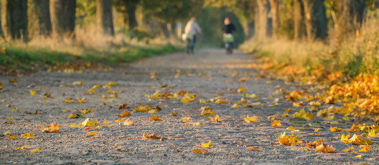 ON A COUNTRY ROAD - Sunny and beautiful autumn morning 