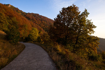 Carretera de monta&ntilde;a en oto&ntilde;o
