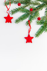 Christmas fir tree branch on white background
