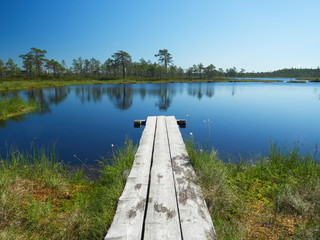 Small lake on a hot summer day. Northern landscape from the Kauhaneva-Pohjankangas National park in Finland.