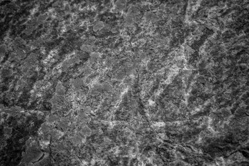 Fototapeta na wymiar Stone texture in black and white color
