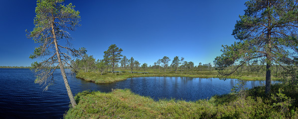 Small lake panorama on a hot summer day. Northern landscape from the Kauhaneva-Pohjankangas National park in Finland.