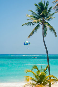 Scenery shot of parasailing couple in azure water of the sea between two palm trees