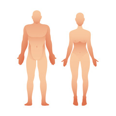 Silhouettes of man and woman front view. Vector human body