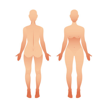 Silhouettes of woman front and back view. Vector female body