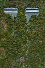 Concrete wall overgrown with moss.
