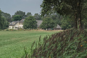 Fototapeta na wymiar Bright house in summery countryside.