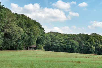 House at edge of forest during summer.