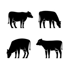 Set of Cow logo. Icon design. Template elements