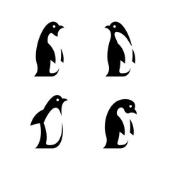 Set of Penguin logo. Icon design. Template elements