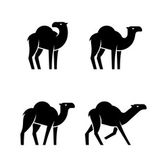 Set of Camel logo. Icon design. Template elements