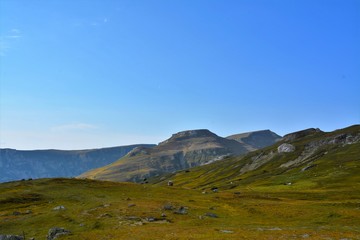 Fototapeta na wymiar alpine pasture on the Bucegi mountains