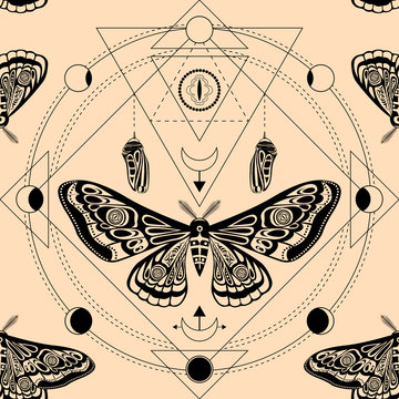 Night moth, butterfly pupa. Sacred geometry, esoteric symbols.