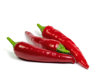 Rote Peperoni, Capsicum annuum, vor weißem Hintergrund