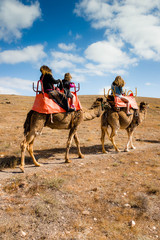 family walk on camels in the desert at sunset
