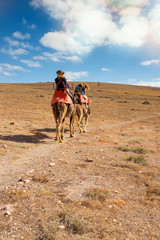 family walk on camels in the desert at sunset