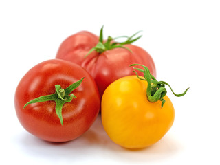 Rote und gelbe Tomaten, Solanum lycopersicum, vor weißem Hintergrund