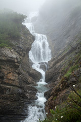 Ruscello con cascata 