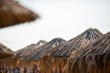 umbrellas on the beach