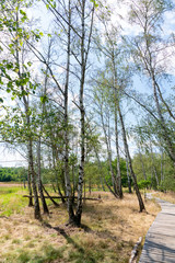 Holzpfad im Naturreservat Soos im Egerbecken in Tschechien