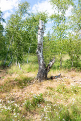 Naturreservat Soos im Egerbecken in Tschechien