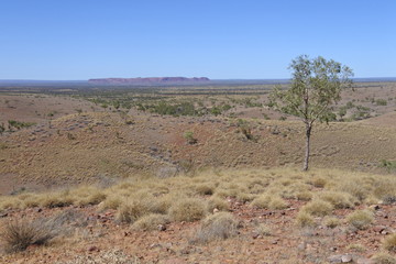 Blick vom Tylers Pass auf einem Baum und den Kometen Krater Gosse Bluff 