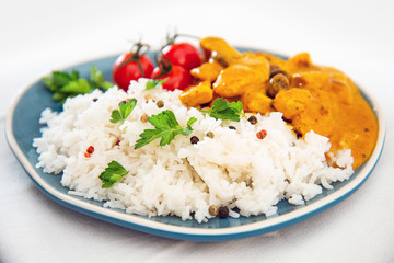 Handmade Indian curry chicken rice